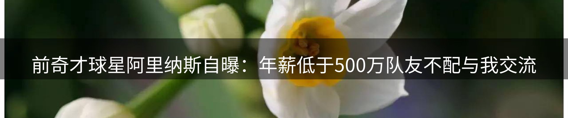 平台资讯