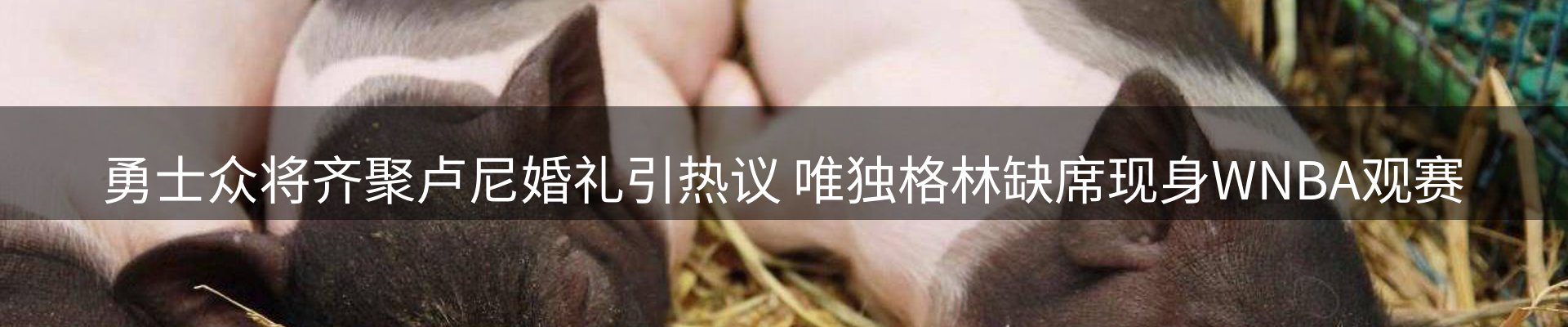 平台资讯